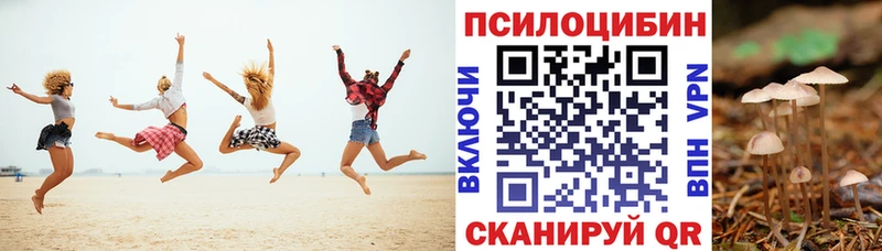 Псилоцибиновые грибы Cubensis  купить закладку  Жигулёвск 